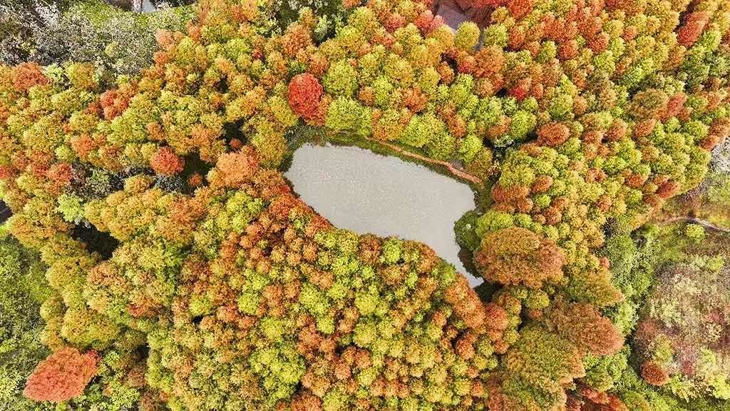 2025年12月徒步活动~勇者徒步营