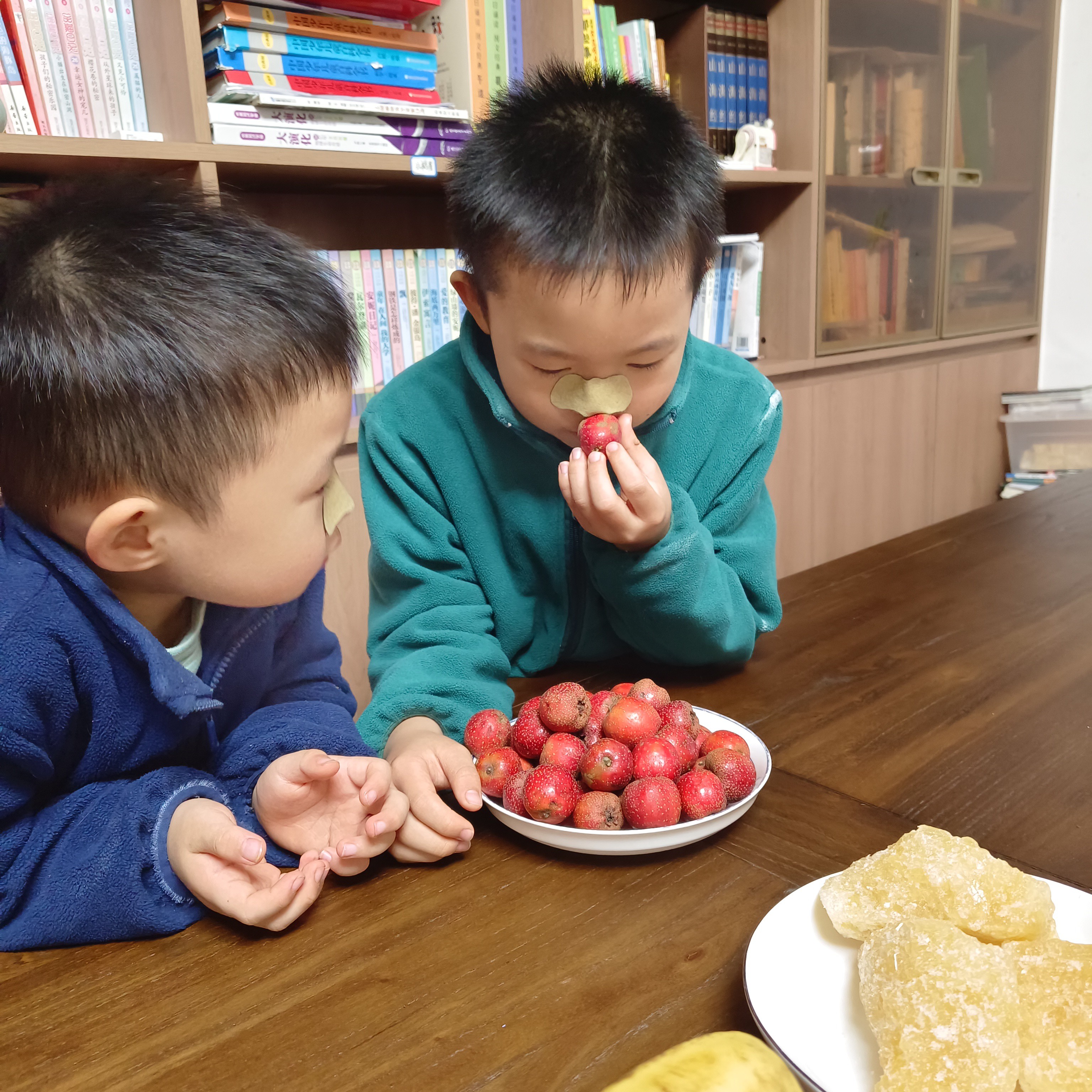 寒假心智拼養營