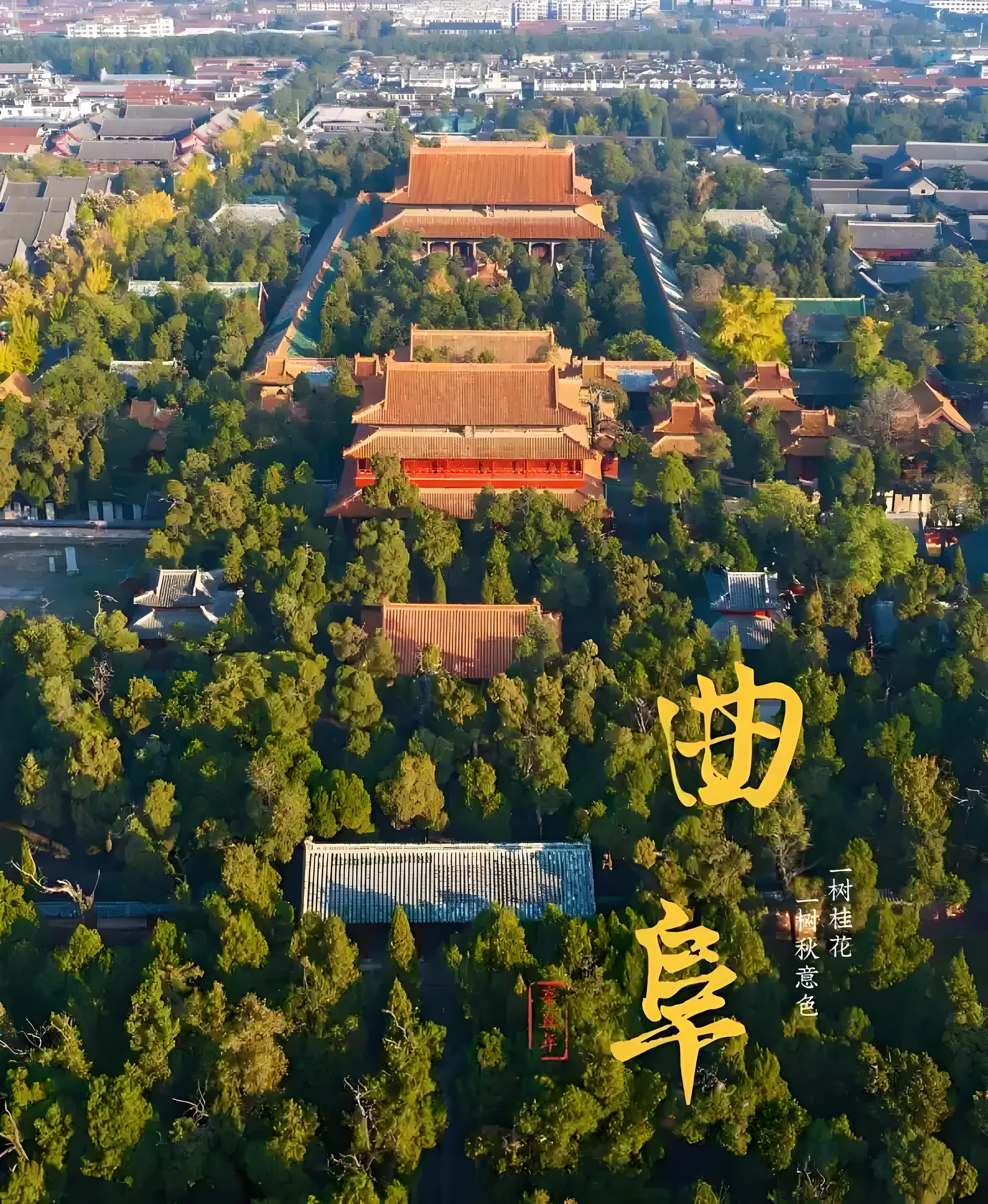 行万里路第三站：东方圣城曲阜